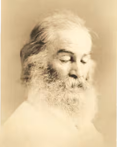 whitman